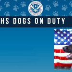 DHS Dog Scare of Noem