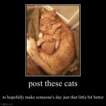 a lot of us are going through it right now. so i figured i might as well try to make at least one person's day just that little  | post these cats | to hopefully make someone's day just that little bit better | image tagged in funny,demotivationals | made w/ Imgflip demotivational maker