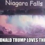 . | BET DONALD TRUMP LOVES THIS ONE | image tagged in niagara falls | made w/ Imgflip meme maker