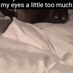 idk what to type (10) | My vision when I rob
my eyes a little too much | image tagged in gifs,cat,cats,meme,relatable,funny | made w/ Imgflip video-to-gif maker