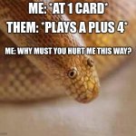 Arabian sand boa | THEM: *PLAYS A PLUS 4*; ME: *AT 1 CARD*; ME: WHY MUST YOU HURT ME THIS WAY? | image tagged in arabian sand boa | made w/ Imgflip meme maker