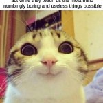 I am not a happy camper | How math teachers expect us to act while they teach us the most mind numbingly boring and useless things possible | image tagged in memes,smiling cat | made w/ Imgflip meme maker