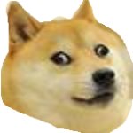 Derp-DOGE