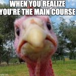 turkey | WHEN YOU REALIZE YOU'RE THE MAIN COURSE | image tagged in turkey | made w/ Imgflip meme maker