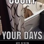 Count your days meme