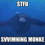 Swimning monke