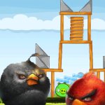 angry birds