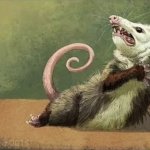 Actor opossum