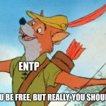 ENTP Robin Hood | ENTP; I CAN HELP YOU BE FREE, BUT REALLY, YOU SHOULDN'T NEED ME | image tagged in this will be my greatest performance,entp,mbti,myers briggs,personality,robin hood | made w/ Imgflip meme maker