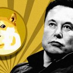 Musk DOGE