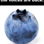 the voices are back. meme