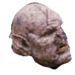 Orc Head