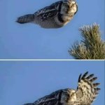 Owl waving template