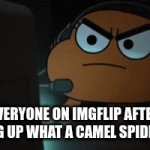 credits to a top-hatted gentleman | EVERYONE ON IMGFLIP AFTER LOOKING UP WHAT A CAMEL SPIDER WAS: | image tagged in gifs,funny memes | made w/ Imgflip video-to-gif maker