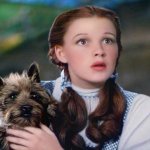 dorothy meme