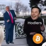 lol GIF Template