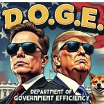 Doge Trump & Musk