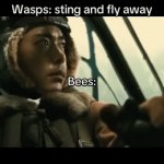 idk what to type (13) | image tagged in gifs,bees,funny,relatable,why are you reading this,memes | made w/ Imgflip video-to-gif maker