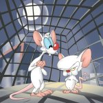 Pinky and The Brain