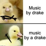 Drake Duck | Music by drake; music by a drake | image tagged in drake duck,lol,drake is a duck | made w/ Imgflip meme maker