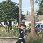 Funny | BIZARRO WORLD ISLAND BOYS DOPPELGANGER; PUSHING LAWNMOWER ALL DAY MUSCLE MEMORY | image tagged in funny,lawnmower,doppelgnger,island,boys,muscle | made w/ Imgflip meme maker