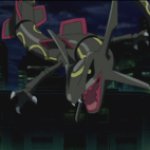 black rayquaza