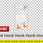 Honk Honk Honk