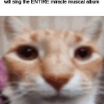 /silly | If this cat gets 50 upvotes, I will sing the ENTIRE miracle musical album | image tagged in pablo | made w/ Imgflip meme maker