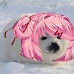 Seal natsuki