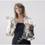 Taylor Swift Cats Acting Up