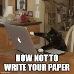 How Not to Write Your Paper | HOW NOT TO WRITE YOUR PAPER | image tagged in gifs,typing,writing,funny cats | made w/ Imgflip video-to-gif maker