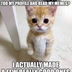 I'm not begging for views, I just wanna know if I'm funny or not | COULD YOU GUYS HEAD OVER TOO MY PROFILE AND READ MY MEMES? I ACTUALLY MADE A FEW REALLY GOOD ONES | image tagged in memes,cute cat | made w/ Imgflip meme maker