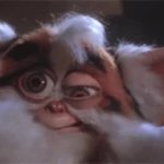 Daffy Gremlins GIF Template