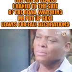 THE FAKE LEAVES JUST LOOK A LOT BETTER | THE PILE OF LEAVES I RAKED TO THE SIDE OF THE ROAD, WATCHING ME PUT UP FAKE LEAVES FOR FALL DECORATIONS | image tagged in am i a joke to you,memes,fall,autumn leaves,leaves,decorating | made w/ Imgflip meme maker