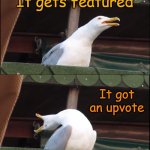 Man that would be awesome | You post a meme; It gets featured; It got an upvote; It gets on the front page | image tagged in memes,inhaling seagull | made w/ Imgflip meme maker