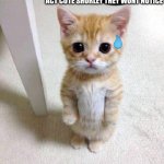 Cute Cat | ACT CUTE SHORLEY THEY WONT NOTICE | image tagged in memes,cute cat | made w/ Imgflip meme maker