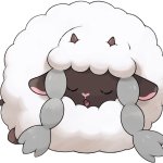 Wooloo sleeping