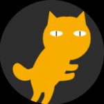 Bizarre Dancing Cat ?