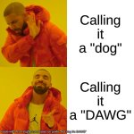 Korek Prunawnsaysyon namber wan | Calling it a "dog"; Calling it a "DAWG" | image tagged in memes,drake hotline bling | made w/ Imgflip meme maker