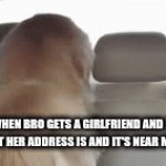 s | ME WHEN BRO GETS A GIRLFRIEND AND I ASK HIM WHAT HER ADDRESS IS AND IT'S NEAR MY HOUSE. | image tagged in gifs,dog | made w/ Imgflip video-to-gif maker