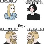 Wojak girls vs boys | NO YOU'RE NOT YOU'RE BEAUTIFUL; HEY AM I UGLY; YO BRO AM I UGLY; YES,VERY MUCH | image tagged in wojak girls vs boys | made w/ Imgflip meme maker