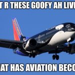 plne | WHAT R THESE GOOFY AH LIVERIES; WHAT HAS AVIATION BECOME | image tagged in plne | made w/ Imgflip meme maker