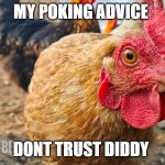 chicken investigates | MY POKING ADVICE; DONT TRUST DIDDY | image tagged in chicken investigates | made w/ Imgflip meme maker