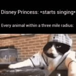 cat meme | image tagged in gifs,cats,funny,memes,animals | made w/ Imgflip video-to-gif maker