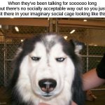 Listen ik I have autism but is this only me? or so normally people do this too? | When they've been talking for soooooo long but there's no socially acceptable way out so you just sit there in your imaginary social cage looking like this | image tagged in annoyed dog,funny memes | made w/ Imgflip meme maker