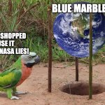 Flerf catcher | BLUE MARBLE; CGI! PHOTOSHOPPED "BECAUSE IT HAS TO BE"! NASA LIES! | image tagged in flat earth parrot catcher,nasa lies,paranoid parrot | made w/ Imgflip meme maker