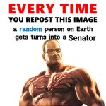 Everytime you repost this image a random person become a senator meme