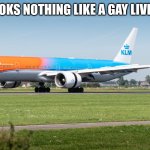 klm | THIS LOOKS NOTHING LIKE A GAY LIVERY KLM | image tagged in klm | made w/ Imgflip meme maker