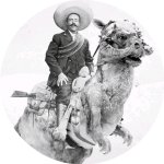 Pancho Villa Skywalker montando tauntaun taun-taun