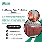 Best tomato paste production factory